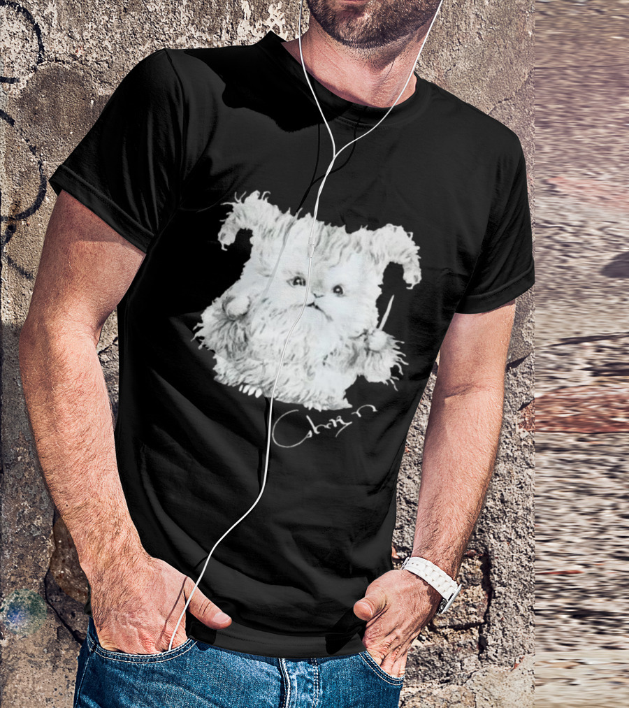 Clairo Charm Wizard Fluffy Creature With Wand T-Shirt