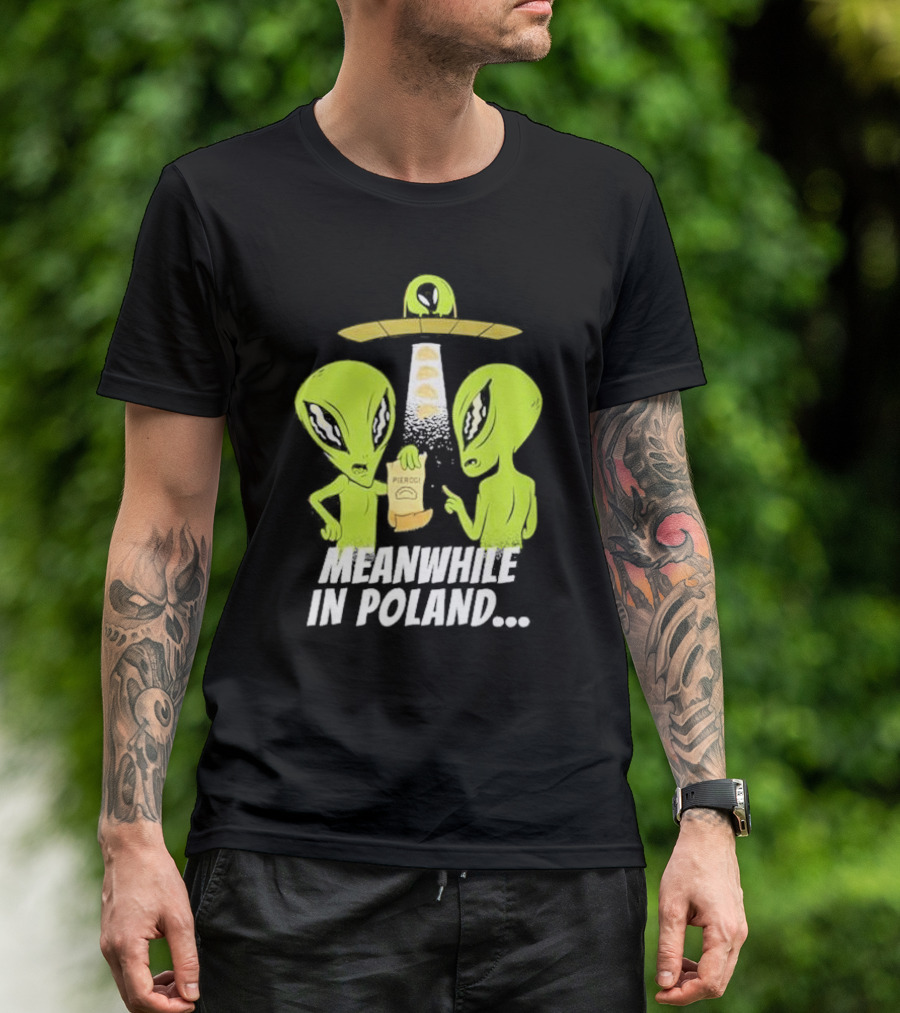 Meanwhile In Poland Alien Abduction Pierogi T-Shirt