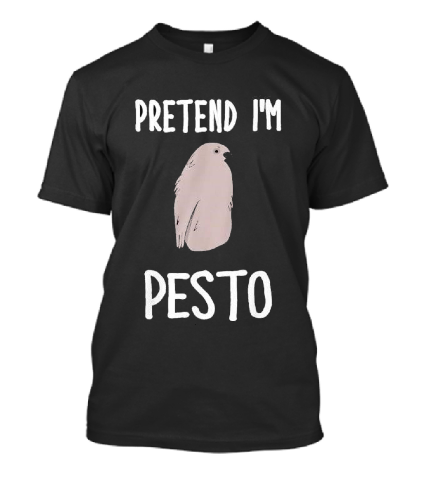 Pretend I'm Pesto The Linda Lindas With And Be Your Own Pet Pinashift North American Tour 2025 Bird T-Shirt