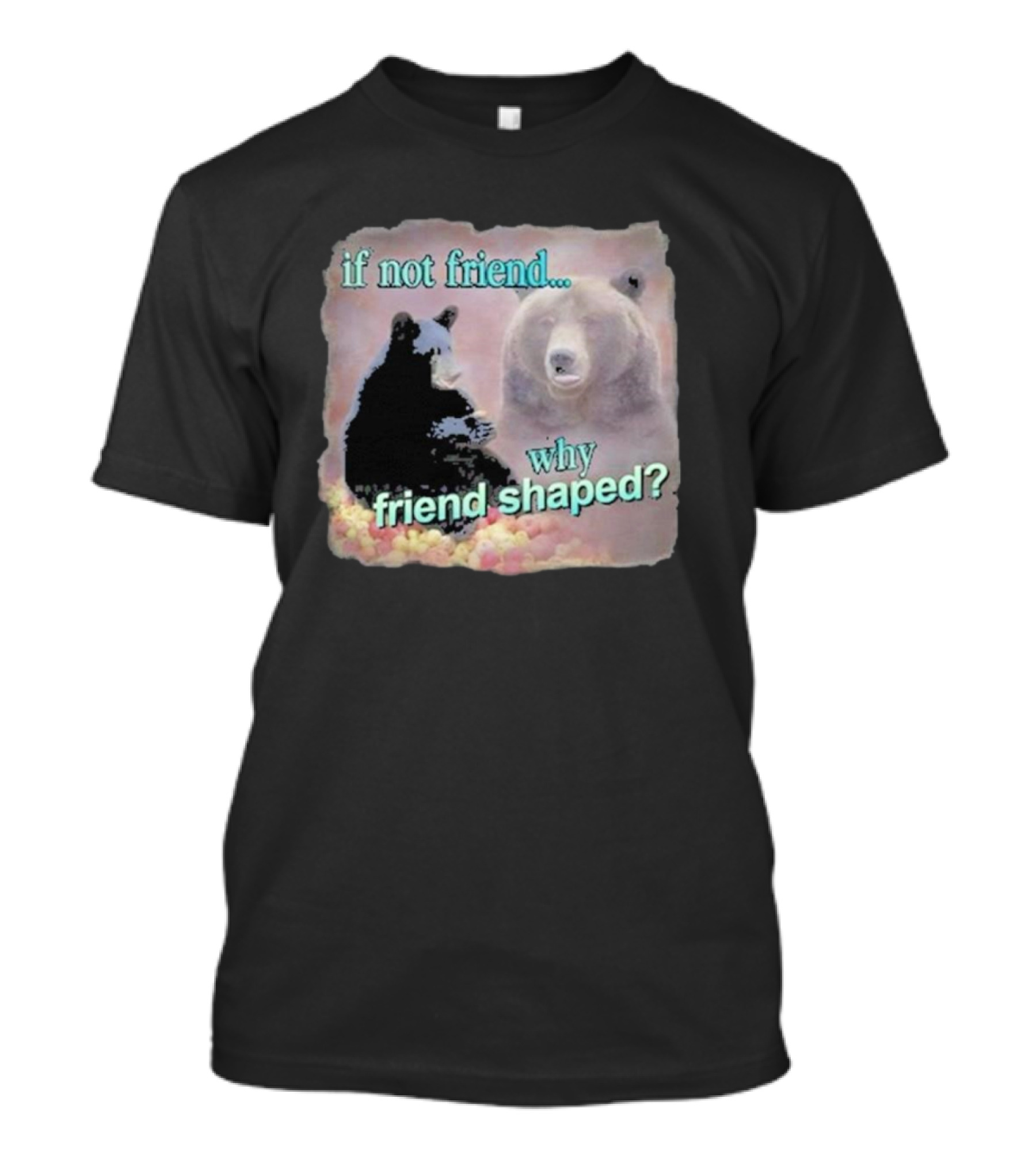 Snazzy Seagull If Not Friend Why Friend Shaped Bear T-Shirt