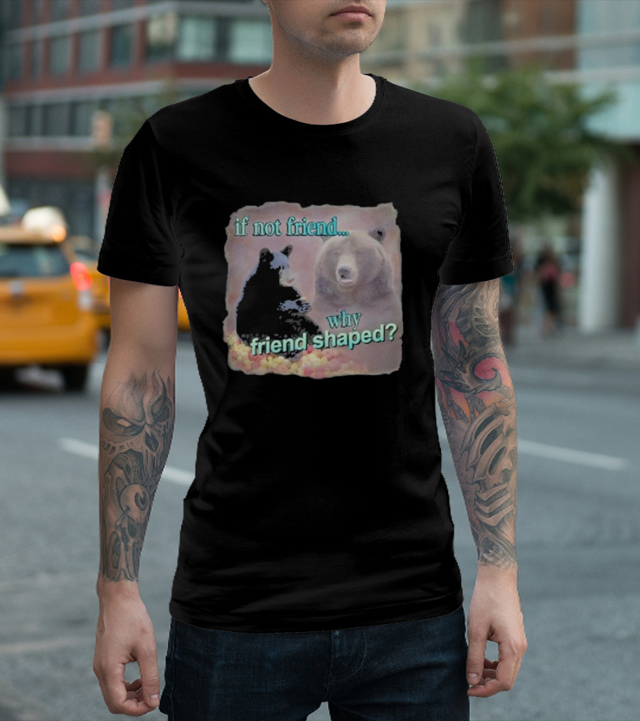 Snazzy Seagull If Not Friend Why Friend Shaped Bear T-Shirt