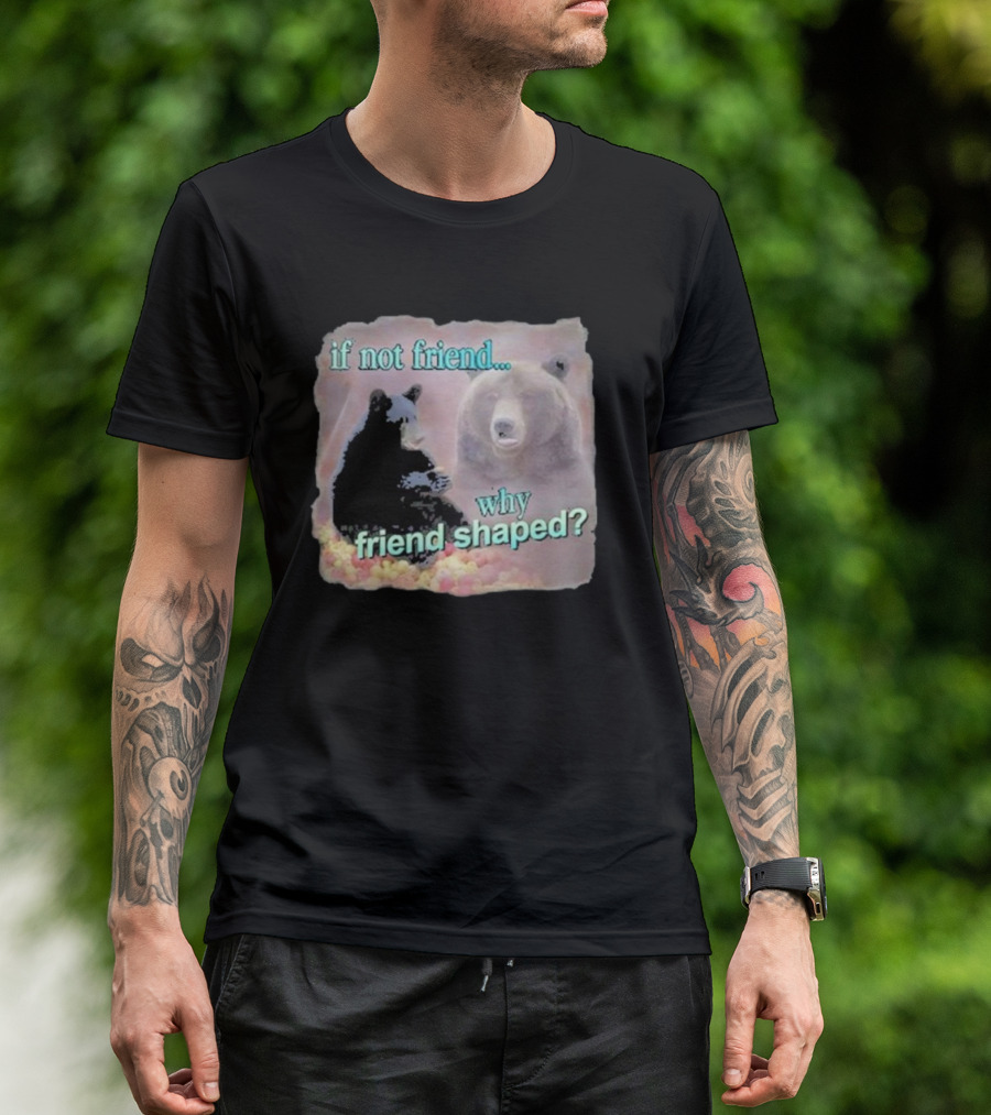 Snazzy Seagull If Not Friend Why Friend Shaped Bear T-Shirt