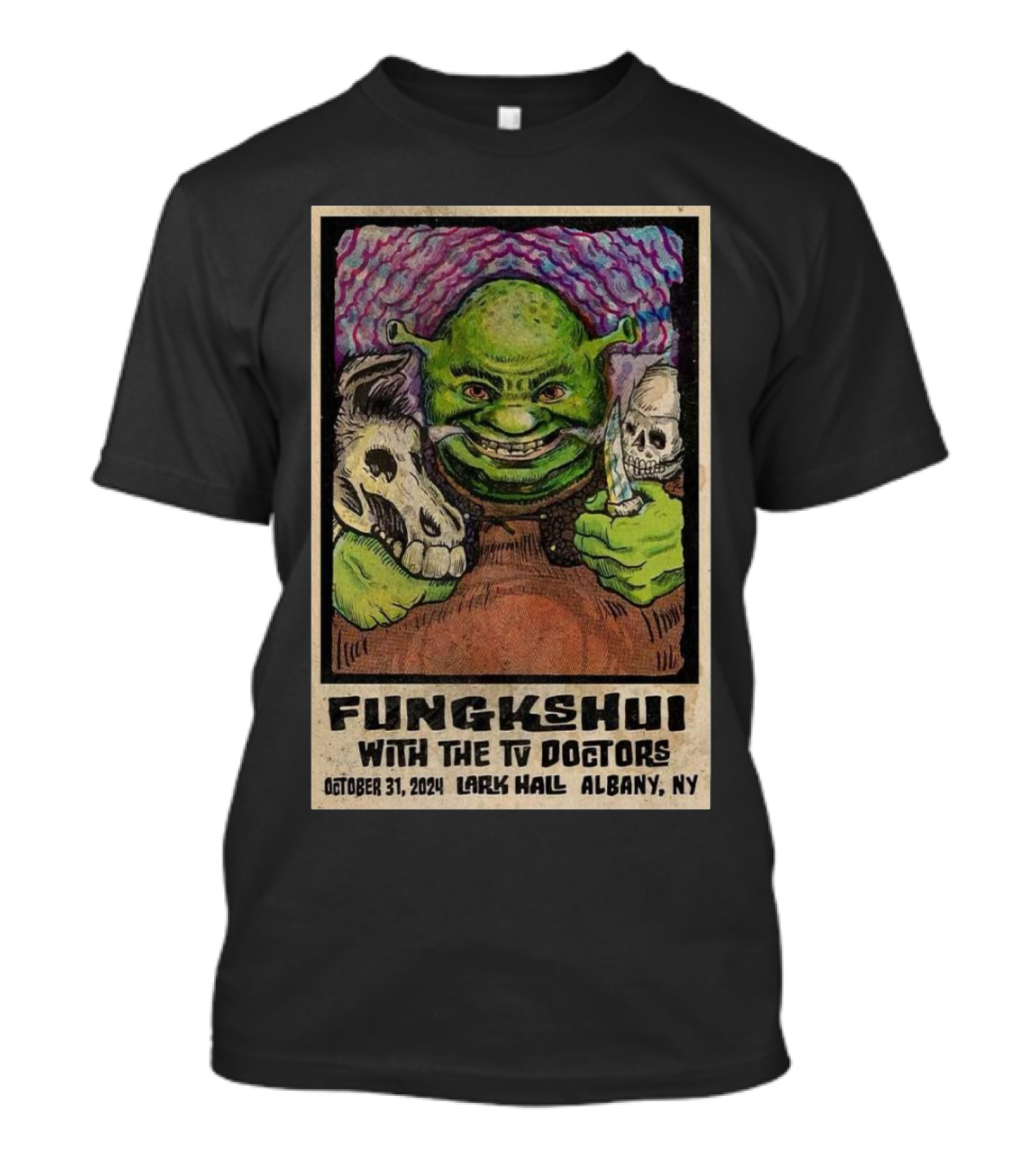 FUNGKSHUI With The TV Doctors October 31, 2024 Lark Hall Albany NY T-Shirt