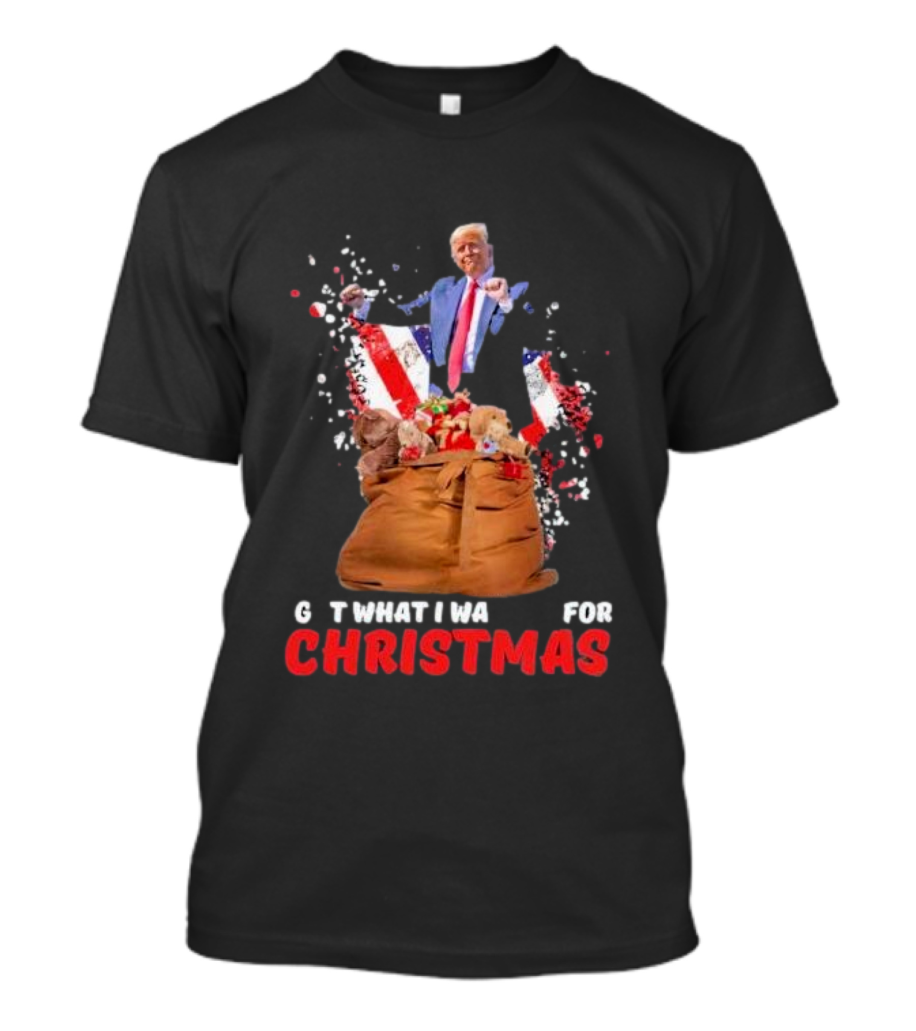 Won US President Got What I Wanted For Christmas Republican Supporter Trump Sack Of Gifts T-Shirt