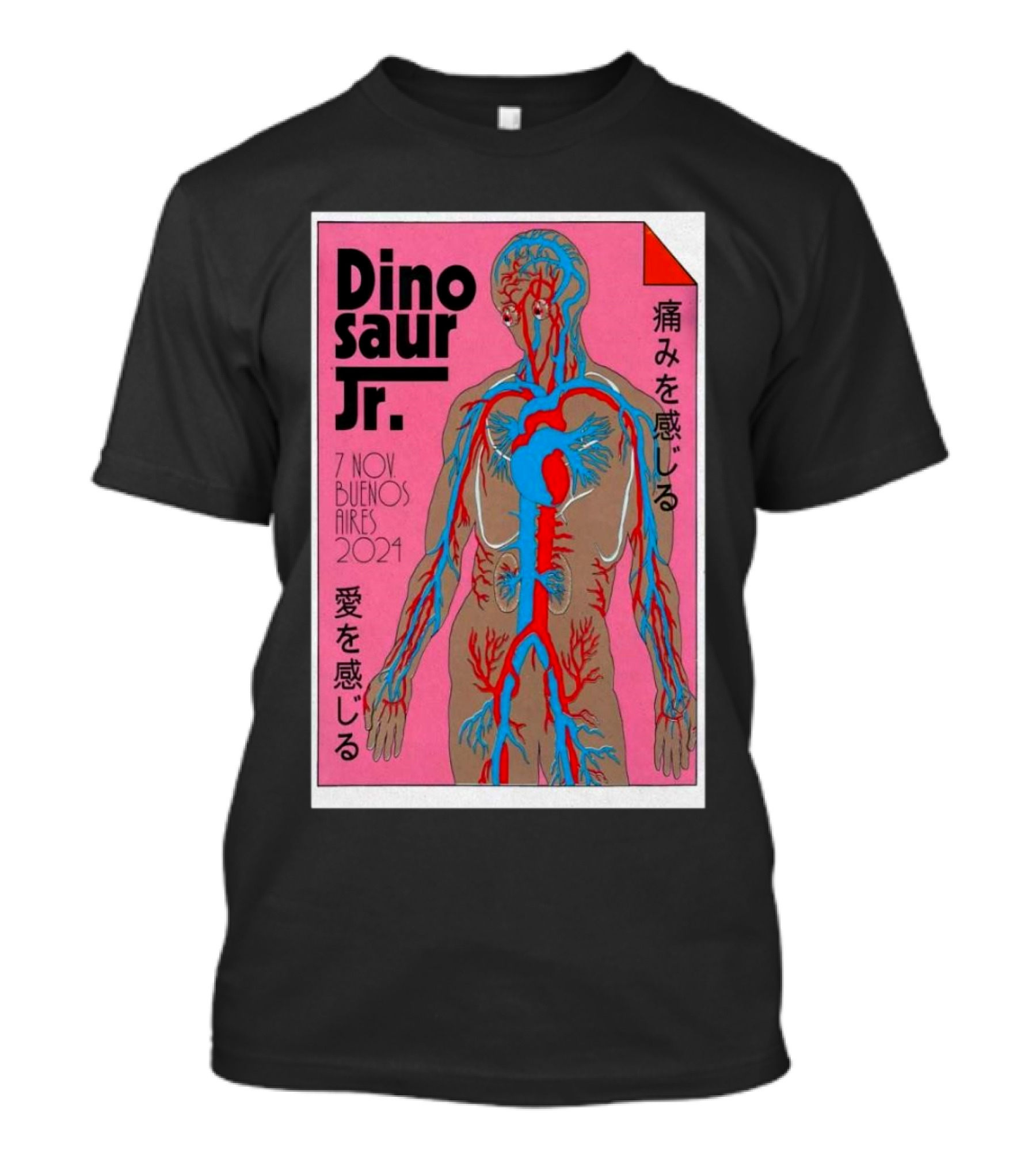 Dinosaur Jr. 7 Nov 2024 Buenos Aires Anatomy Graphic Pain And Love Themes T-Shirt