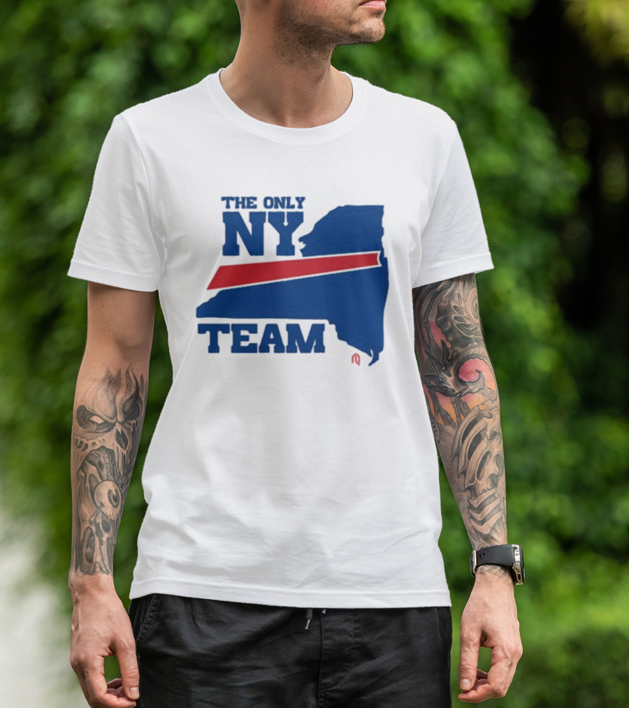 The Only NY Team New York State Silhouette Red Stripe T-Shirt