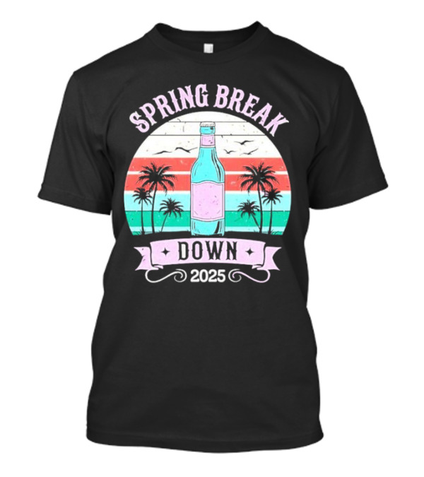 Spring Break Down 2025 Bottle Palms Retro Stripes Vintage Vibe T-Shirt
