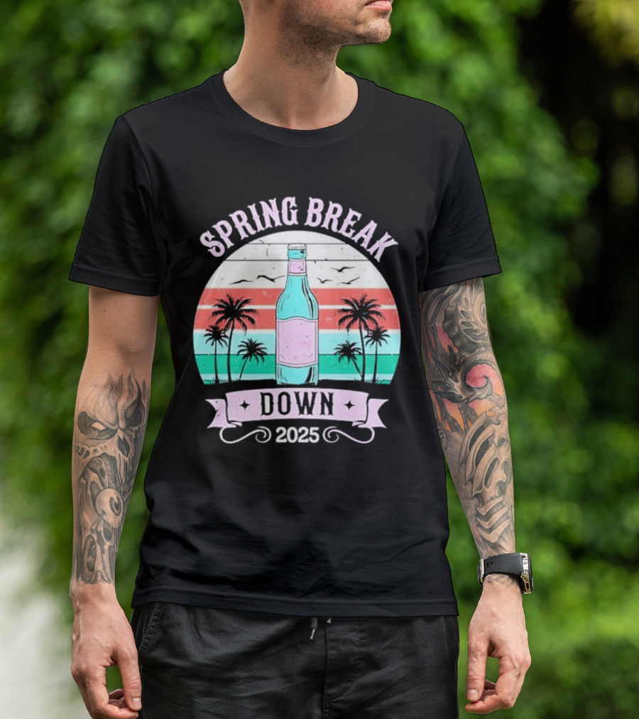 Spring Break Down 2025 Bottle Palms Retro Stripes Vintage Vibe T-Shirt