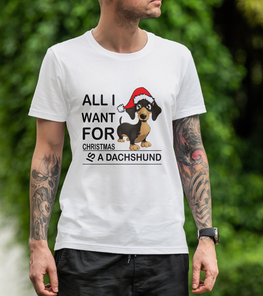 All I Want For Christmas Is A Dachshund Wearing Santa Hat T-Shirt