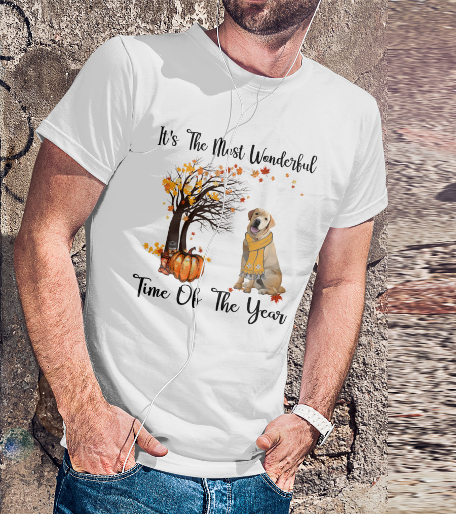 It's The Most Wonderful Time Of The Year Labrador Autumn Pumpkin Leaves T-Shirt