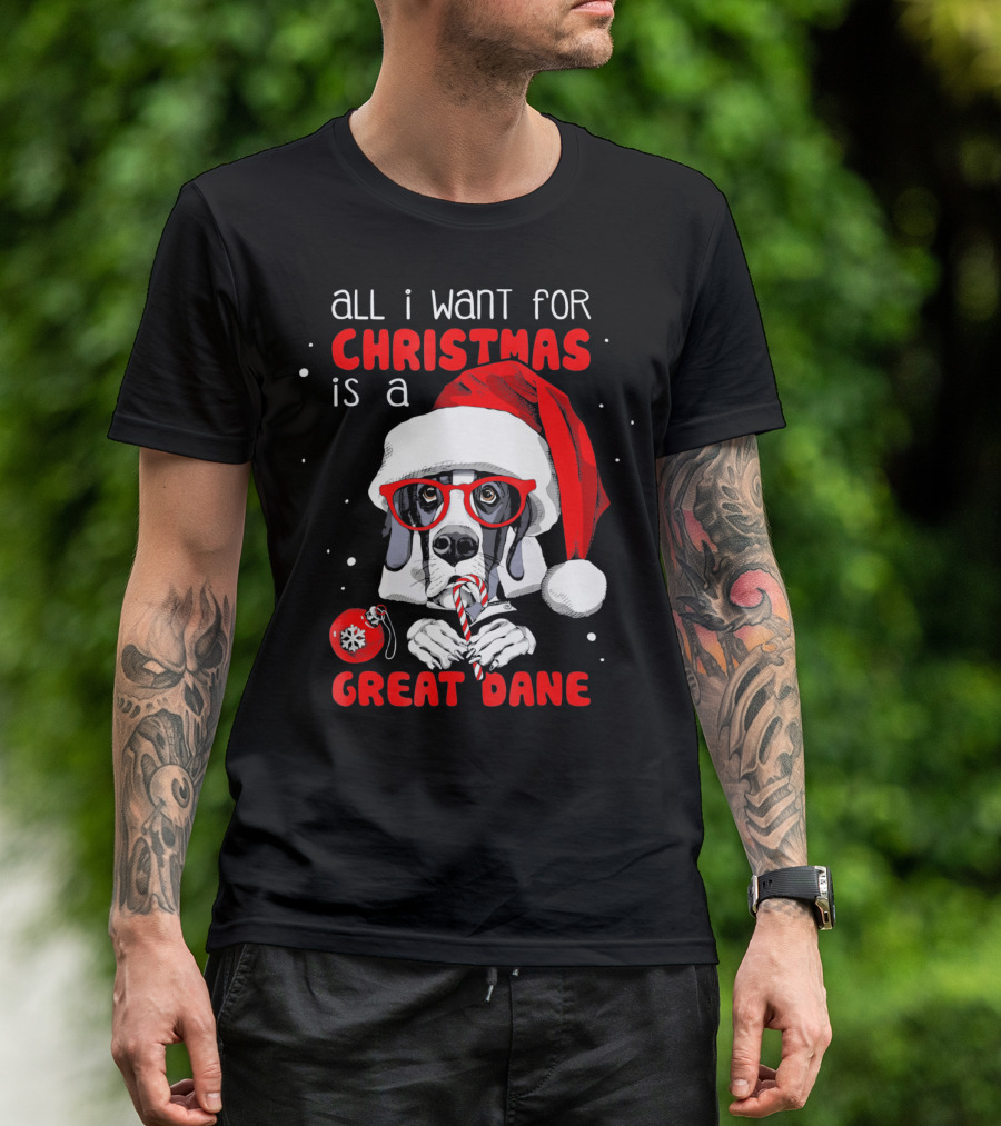 All I Want For Christmas Is A Great Dane Santa Hat Red Glasses Candy Cane T-Shirt