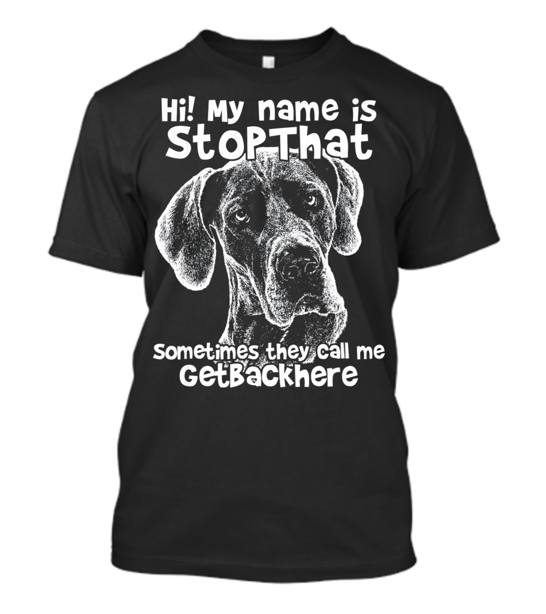 Hi My Name Is StopThat Sometimes They Call Me GetBackHere Funny Great Dane T-Shirt