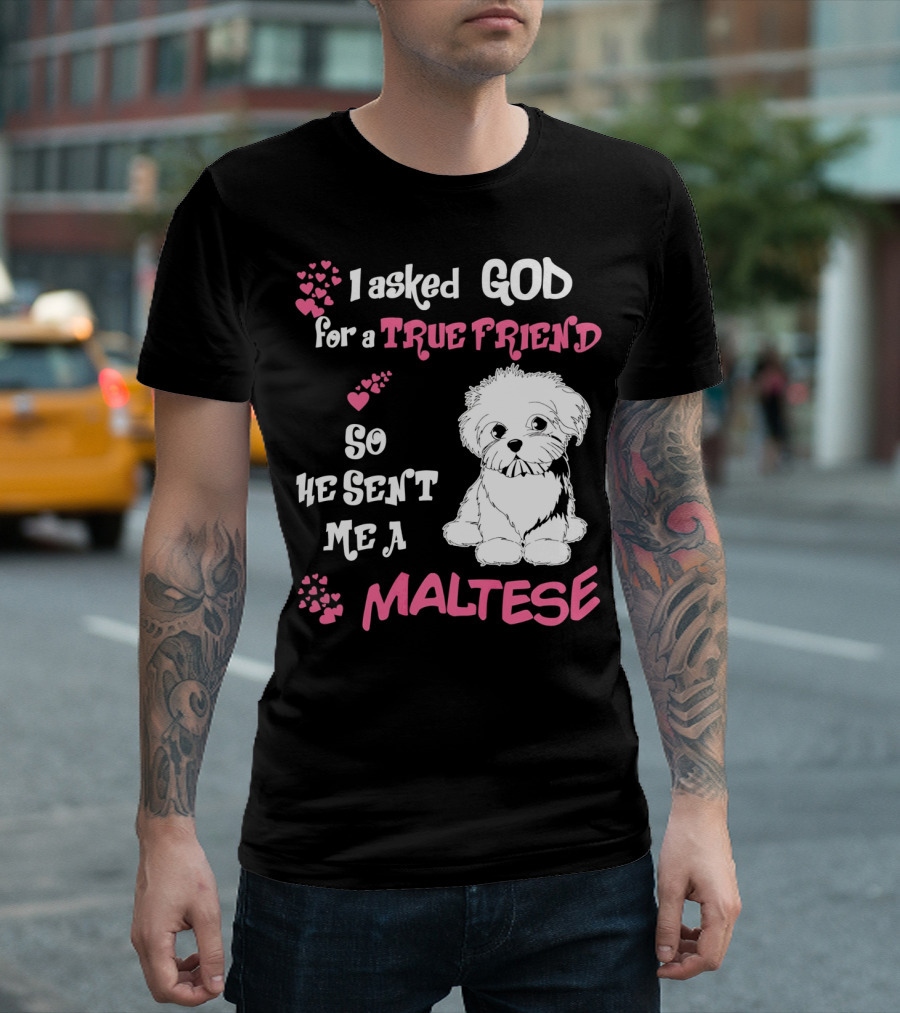 I Asked God For A True Friend So He Sent Me A Maltese T-Shirt