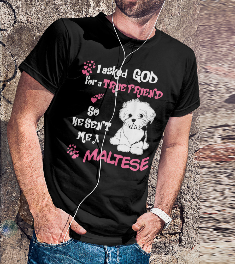 I Asked God For A True Friend So He Sent Me A Maltese T-Shirt