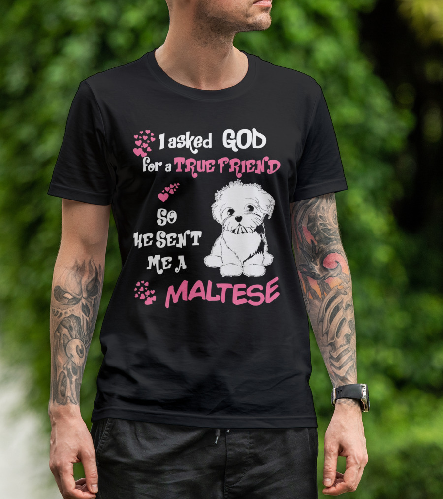 I Asked God For A True Friend So He Sent Me A Maltese T-Shirt