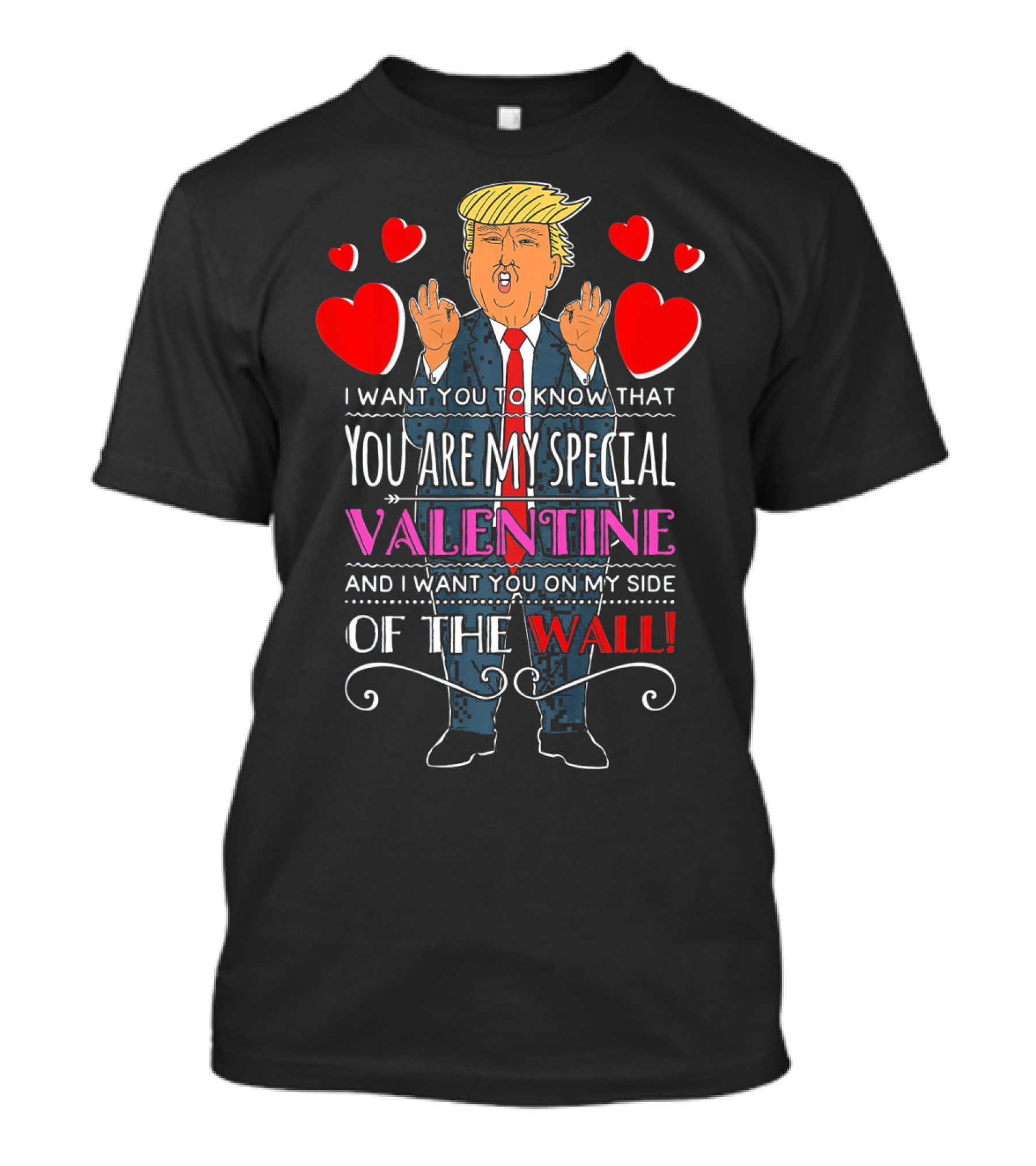 You Are My Special Valentine And I Want You On My Side Of The Wall T-Shirt