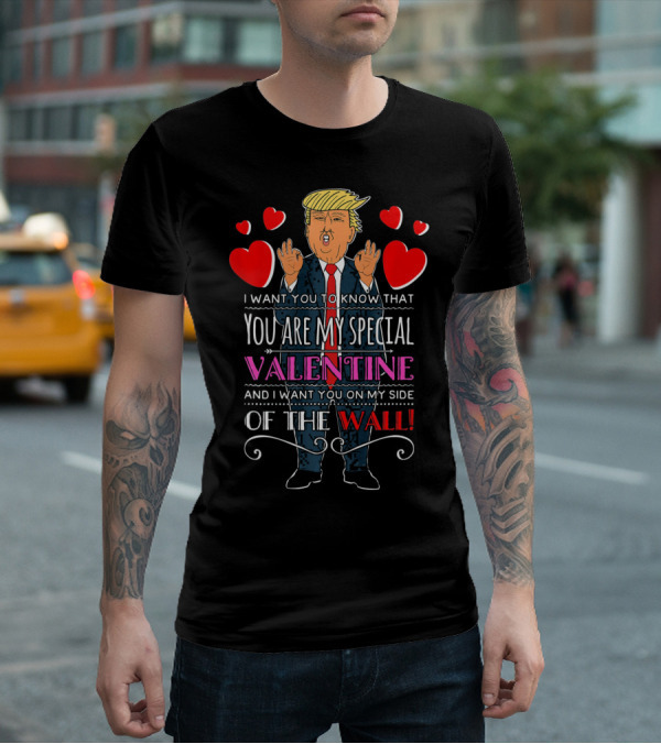 You Are My Special Valentine And I Want You On My Side Of The Wall T-Shirt