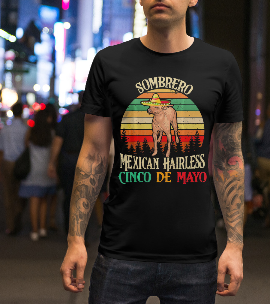 Sombrero Mexican Hairless Cinco De Mayo Vintage Sunset T-Shirt