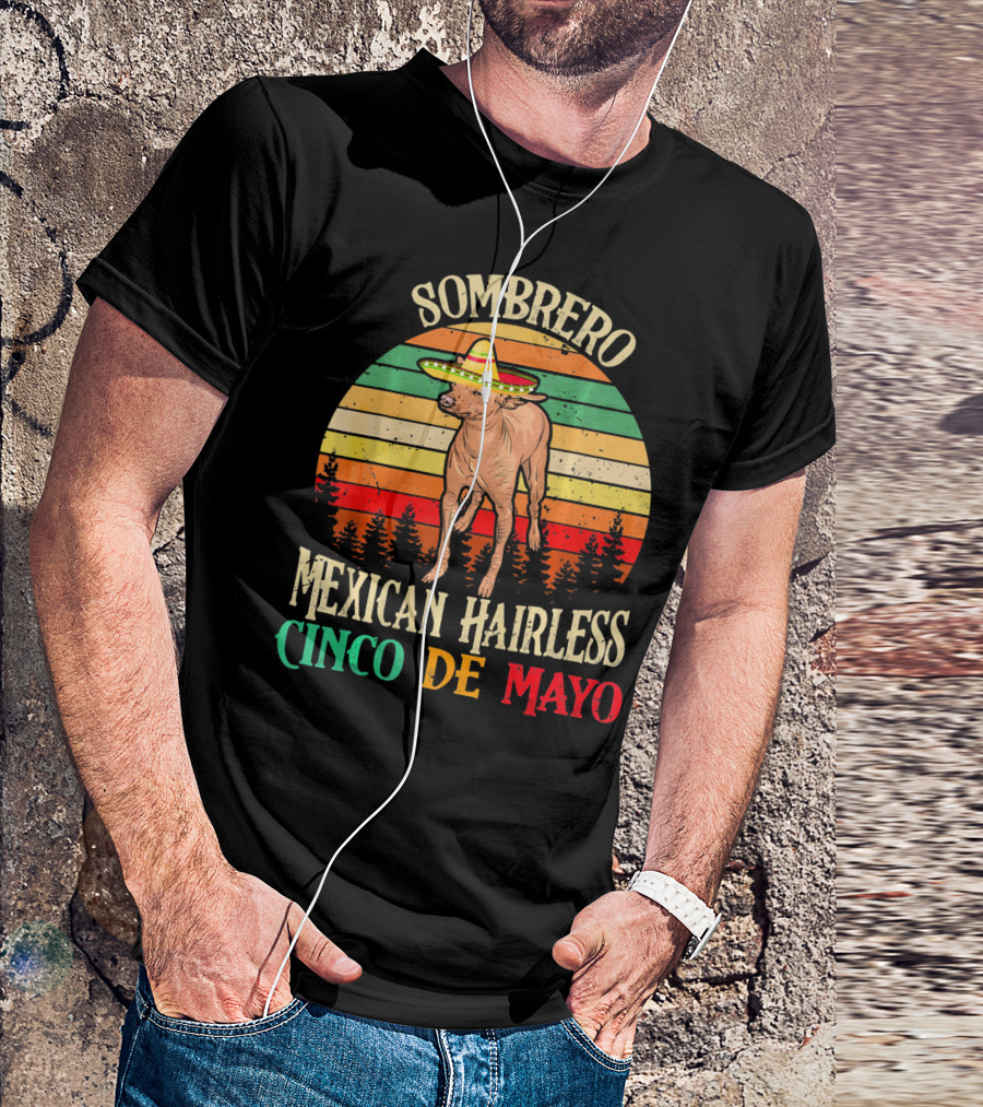 Sombrero Mexican Hairless Cinco De Mayo Vintage Sunset T-Shirt
