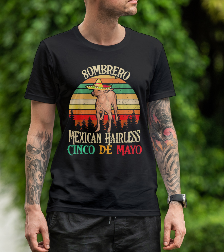 Sombrero Mexican Hairless Cinco De Mayo Vintage Sunset T-Shirt