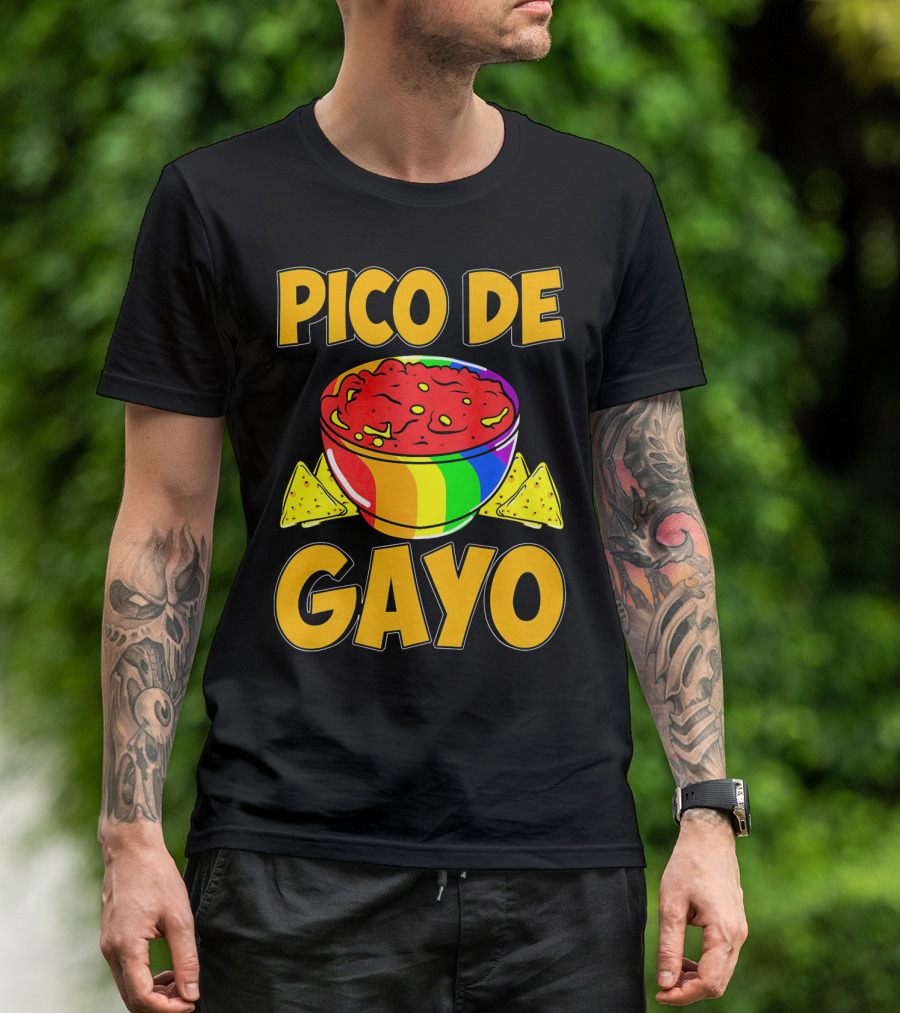 Pico De Gayo Cinco De Mayo Rainbow Salsa Bowl And Tortilla Chips T-Shirt