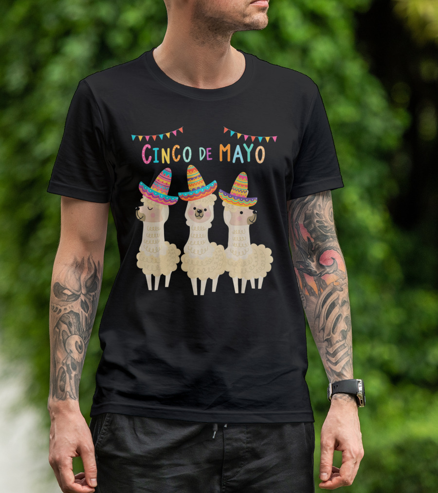 No ProbLlama Cinco De Mayo Llamas In Sombreros T-Shirt