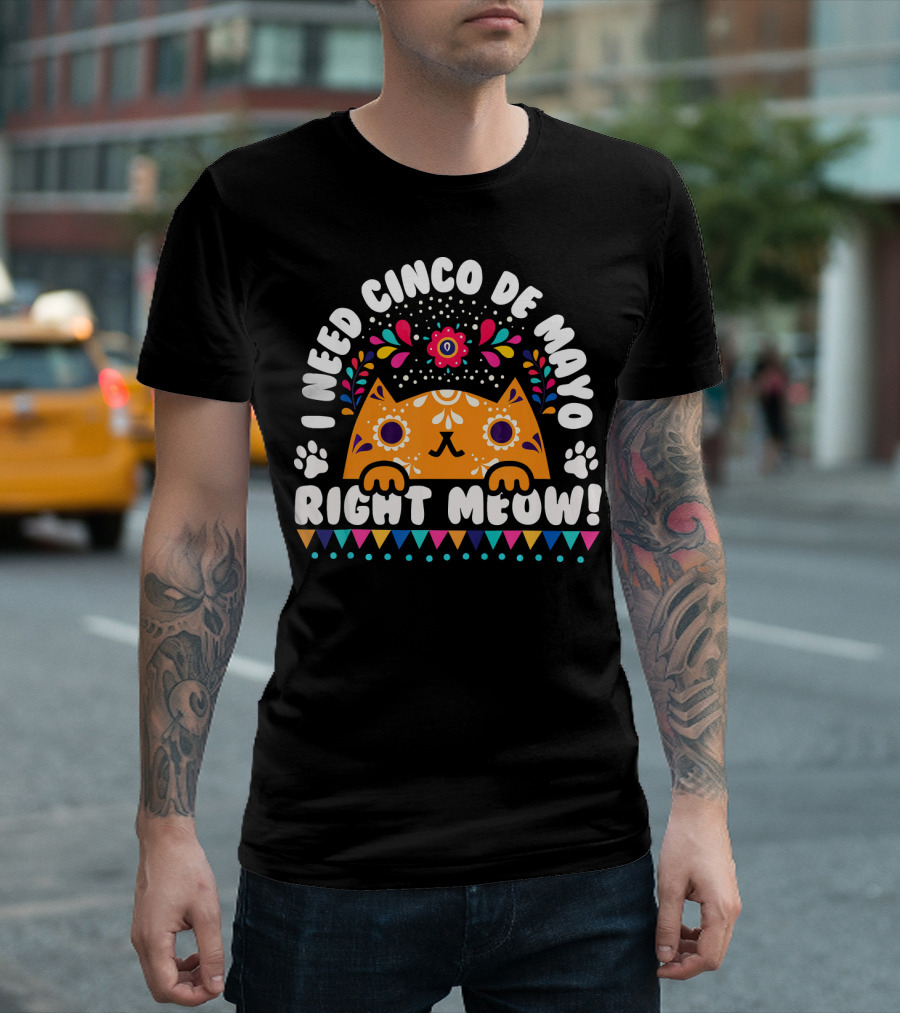 I Need Cinco De Mayo Right Meow Orange Cat Mexican Fiesta T-Shirt