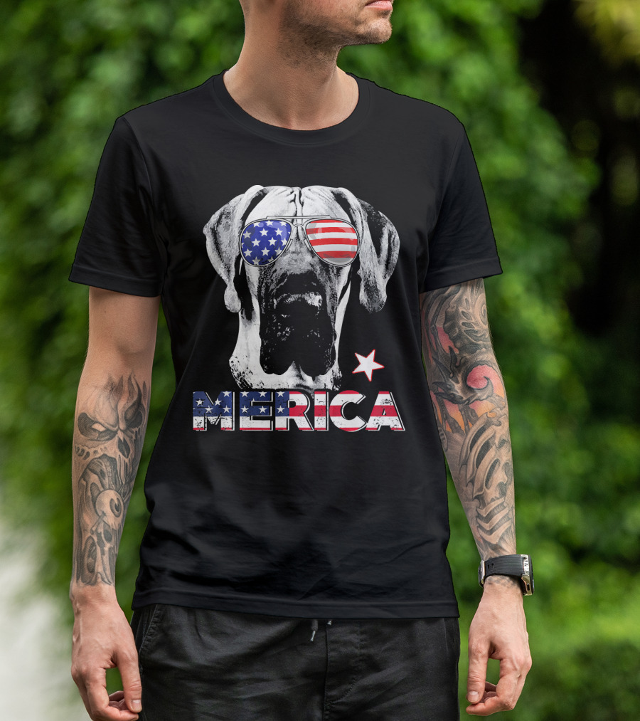 Great Dane 'Merica American Flag Sunglass Star T-Shirt