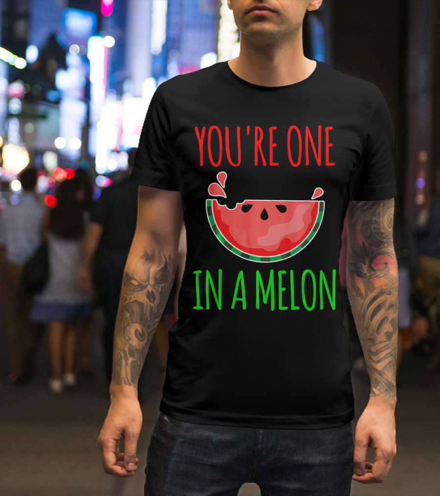 You're One In A Melon Pun Summer Watermelon T-Shirt
