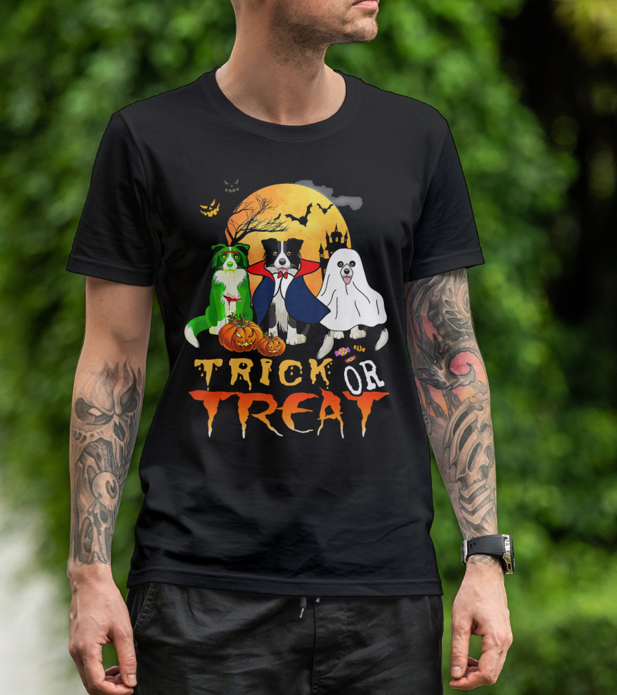 Trick Or Treat Halloween Border Collie Costumes Pumpkins Haunted Moon T-Shirt