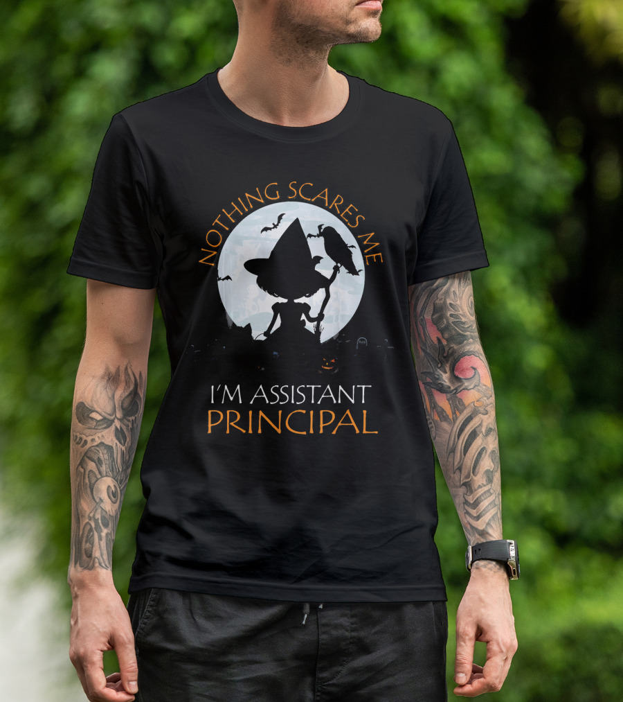 Nothing Scares Me I'm Assistant Principal Witch Moon Ravens T-Shirt
