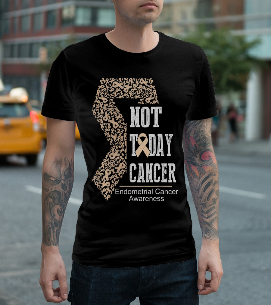 Not Today Cancer Endometrial Cancer Awareness T-Shirt