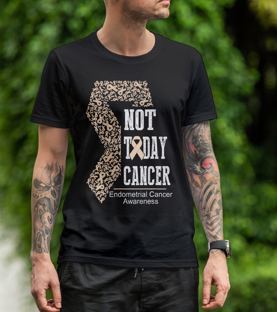 Not Today Cancer Endometrial Cancer Awareness T-Shirt