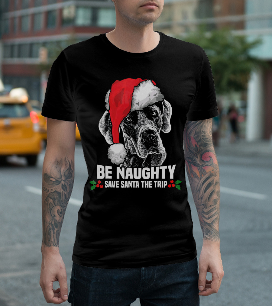 Be Naughty Save Santa The Trip Great Dane Santa Hat T-Shirt