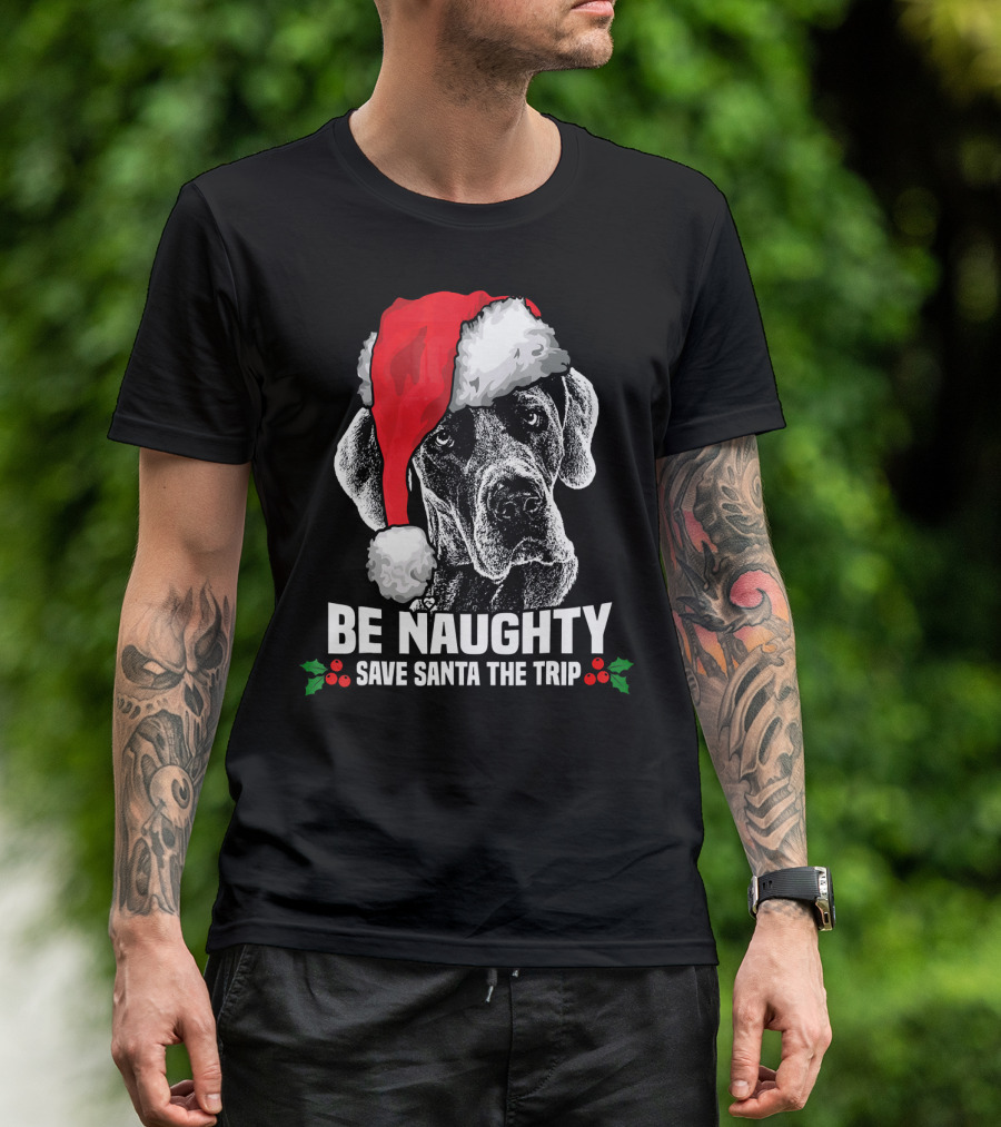 Be Naughty Save Santa The Trip Great Dane Santa Hat T-Shirt