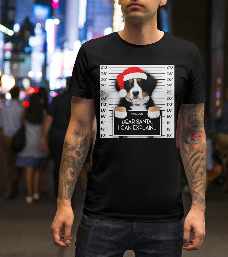 Xmas Bernese Mountain Dog Lover Santa Hat Dear Santa I Can Explain T-Shirt