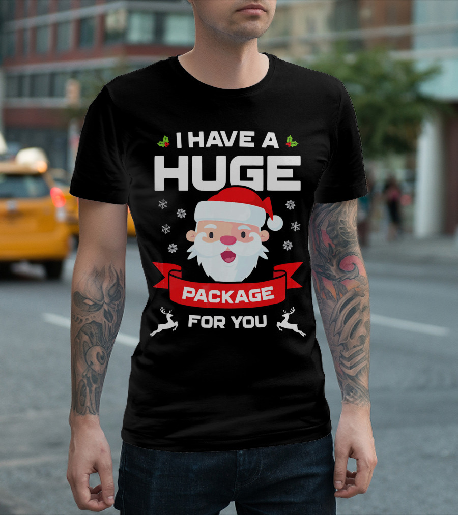 I Have A Huge Package For You Santa Snowflakes Reindeer Christmas T-Shirt
