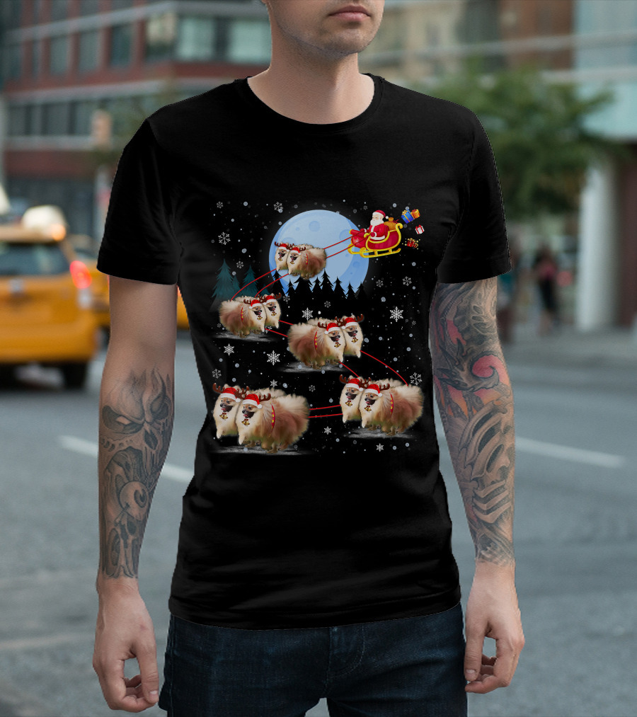 Pomeranian Reindeer Santa Sleigh Christmas Under Moonlight T-Shirt