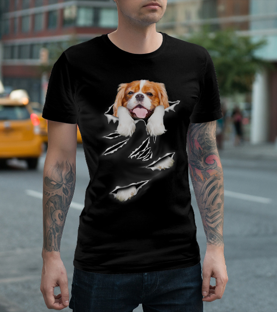 Cavalier King Charles Spaniel Scratch Torn Paws and Face Peeking Through T-Shirt