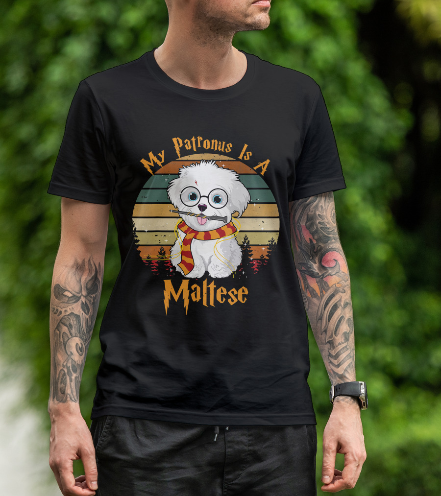 My Patronus Is A Maltese Dog With Wizard Glasses And Scarf In Colorful Circle T-Shirt