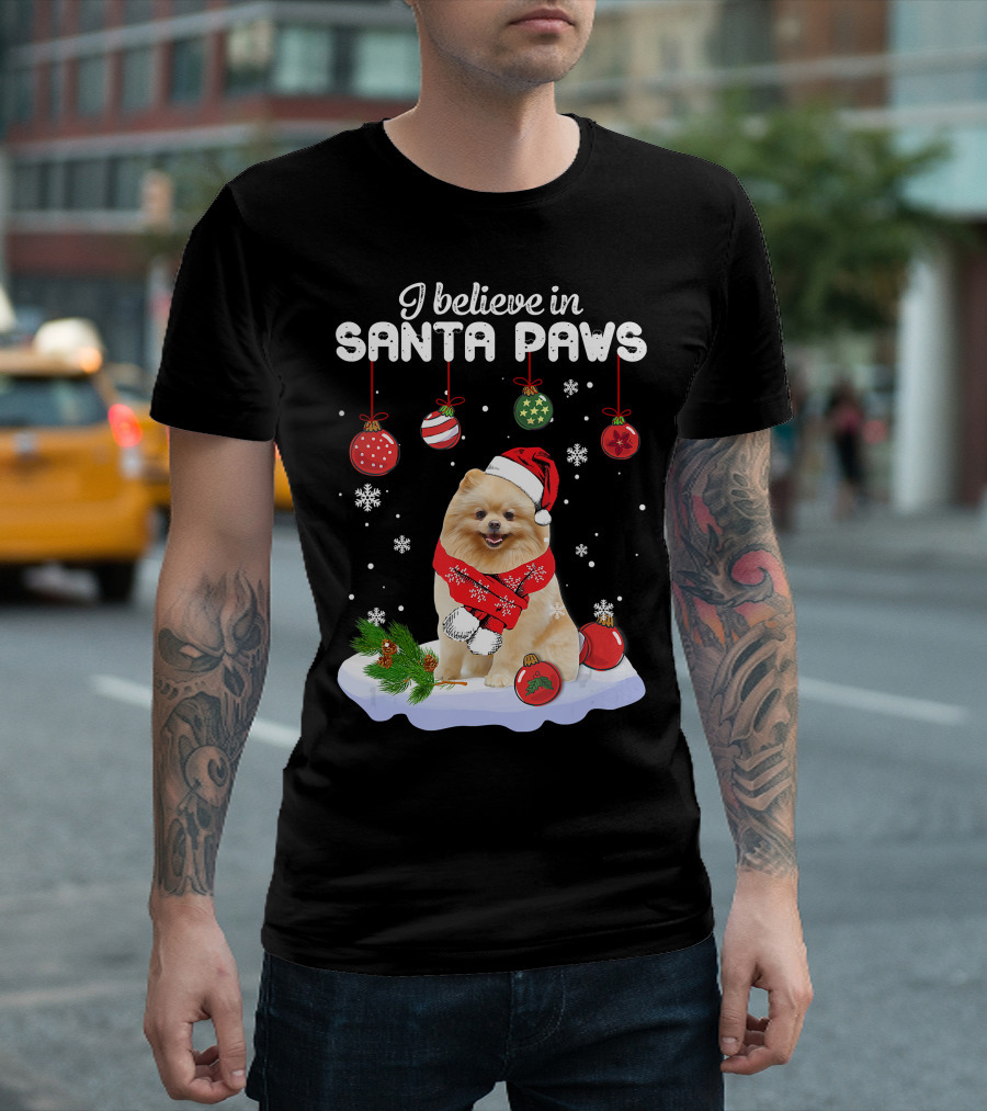 I Believe In Santa Paws Pomeranian Festive Christmas Ornaments Snowflakes T-Shirt