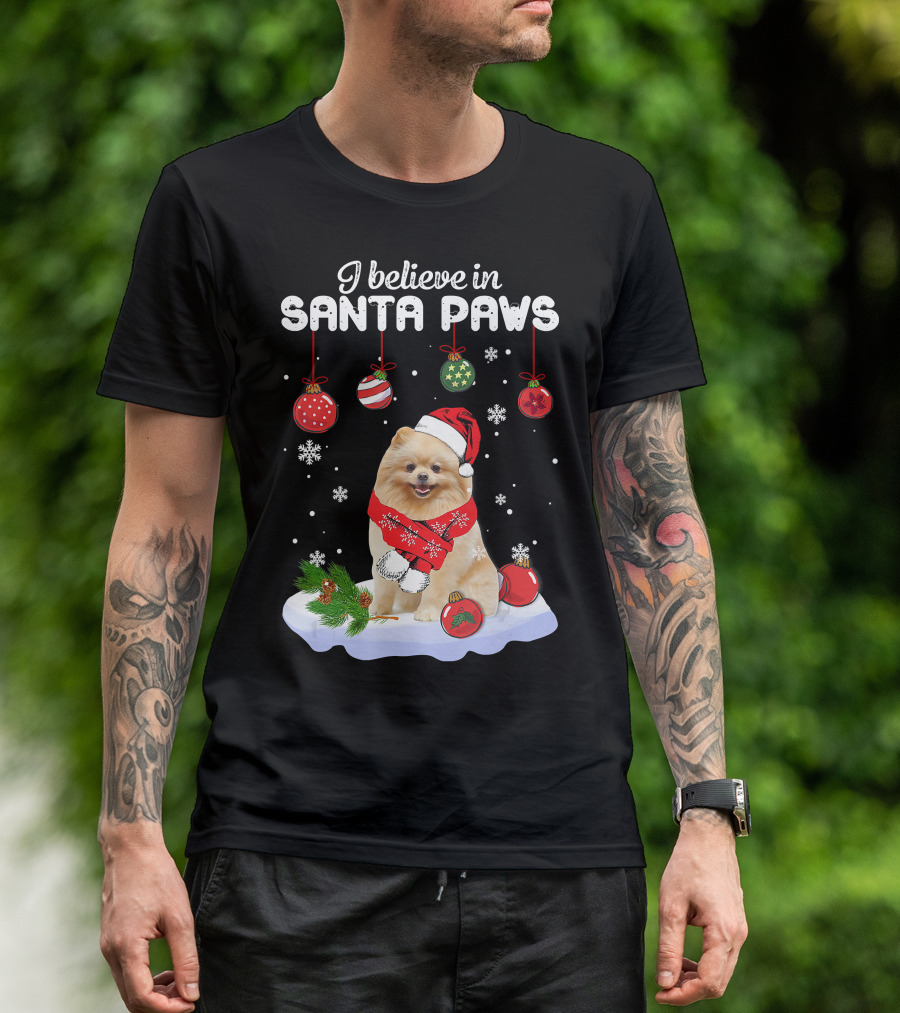 I Believe In Santa Paws Pomeranian Festive Christmas Ornaments Snowflakes T-Shirt