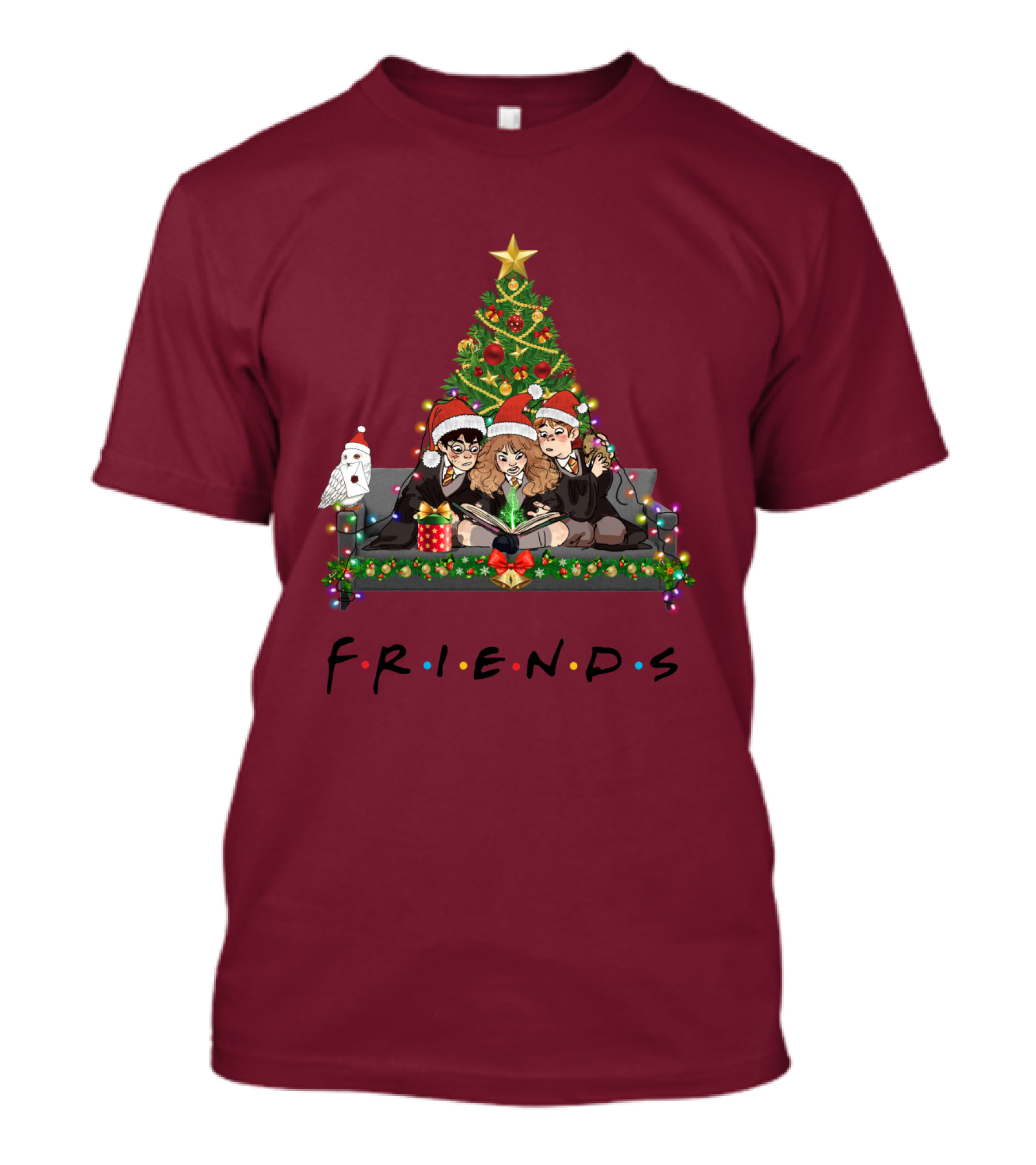 Friends Christmas With Wizard Trio And Owl T-Shirt