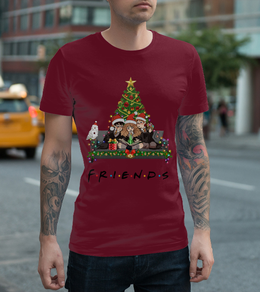 Friends Christmas With Wizard Trio And Owl T-Shirt
