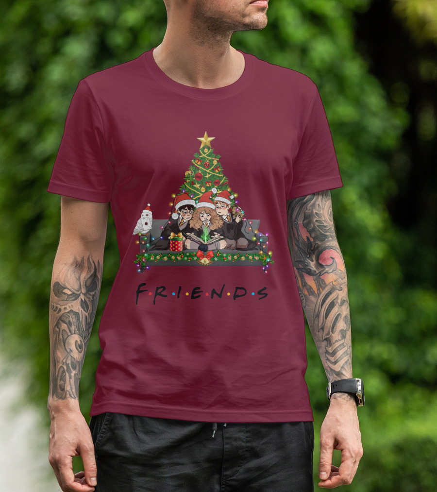 Friends Christmas With Wizard Trio And Owl T-Shirt