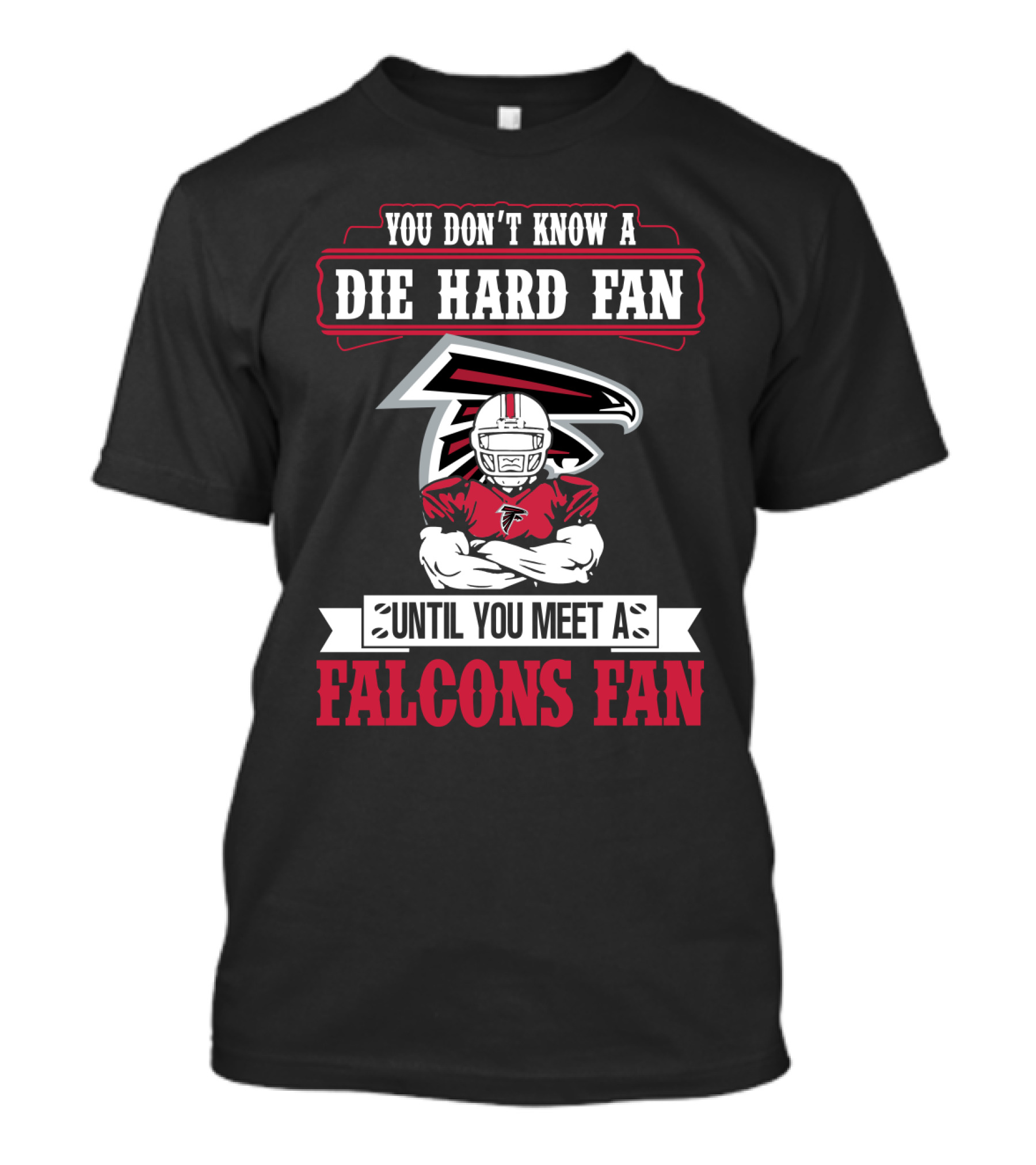 You Don't Know A Die Hard Fan Until You Meet A Falcons Fan Atlanta Falcons T-Shirt